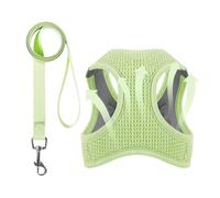 Harnais de chat anti-fuite | Harnais sans tirage pour chien, veste en maille respirante réfléchissante Veste de marche légère pour chats pour marcher et voyager en toute sécurité