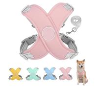 Harnais de Chien avec Laisse réglé Respirant et Confortable réfléchissant, étape rembourrée Molle réglable dans Le Gilet de Chien sans étrangler sans Traction de Petites Tailles Anti-Rupture Non-Chew