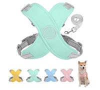 Harnais de Chien avec Laisse réglé Respirant et Confortable réfléchissant, étape rembourrée Molle réglable dans Le Gilet de Chien sans étrangler sans Traction de Petites Tailles Anti-Rupture Non-Chew