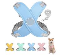Harnais de Chien avec Laisse réglé Respirant et Confortable réfléchissant, étape rembourrée Molle réglable dans Le Gilet de Chien sans étrangler sans Traction de Petites Tailles Anti-Rupture Non-Chew