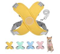 Harnais de Chien avec Laisse réglé Respirant et Confortable réfléchissant, étape rembourrée Molle réglable dans Le Gilet de Chien sans étrangler sans Traction de Petites Tailles Anti-Rupture Non-Chew