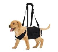 Harnais de chien avec poignée, harnais, harnais de chien à tirer facile à marcher, ceinture auxiliaire harnais pour animaux de compagnie sans étranger, harnais pour chien