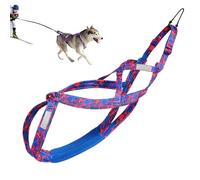 Harnais De Chien De Remorquage | Harnais De Poitrine De Chien Réglable | Harnais De Traction Pour Chiens, Corde De Formation De Corde Respirant Pour Pass