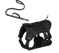Harnais de chien moyen pour la marche, le petit chien de marche, le harnais de marche avec lead, le chien d'entraînement Lead and Harness, le harnais de chien confortable, le petit chien