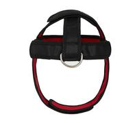 Harnais De Développement Du Cou - Sangle D'entraînement Pour Renforcer La Force, Support De Casque De Fitness, Système D'amélioration De La Postures De Rééducation, Aide À La Physiothérapie De Muscula