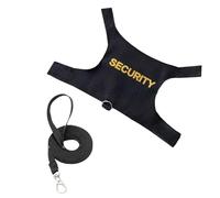 Harnais de dragon barbu, laisses de dragon barbu,Laisses pour léopard, vêtements réglables pour dragon barbu - Laisses et harnais pour petits animaux, anti-perte, imbracatur