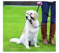 Harnais de dressage noir Top Trainer Trixie Tai…