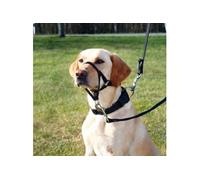 Harnais De Dressage Top Trainer, M: 27 Cm - Mon Animalerie