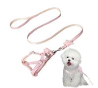 Harnais De Gilet De Sangle De Chien - Sangle De Dessin Animé De Chien De Chien Souple Harnais Flexible | Appareils À Chiens Confortables Escape Proof Dog Harness Behavior Aids Pour Se Promener, Courir