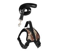 Harnais de Gilet pour Animaux de Compagnie avec Corde pour la Marche Active du Chien, l ' entraînement et Les Aventures en Plein air
