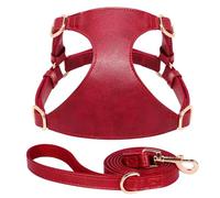 Harnais De Gilet pour Chien Et Chat en Cuir PU Souple avec Laisse en Plomb Ensemble Harnais Et Laisse Réglables pour Animaux De Compagnie pour Chiens Et Chats De Petite Et Moyenne Taille Chihuahu