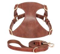 Harnais De Gilet pour Chien Et Chat en Cuir PU Souple avec Laisse en Plomb Ensemble Harnais Et Laisse Réglables pour Animaux De Compagnie pour Chiens Et Chats De Petite Et Moyenne Taille Chihuahu