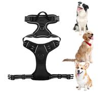 Harnais de Gilet pour Chien - Harnais pour Animaux de Compagnie sans Traction | pour Animaux de Compagnie sans, Harnais réfléchissant Robuste pour Chien avec 2 Clips de Laisse pour Petites et
