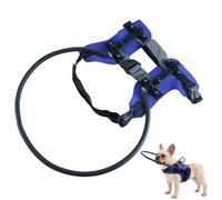 Harnais de Guidage pour Chien Aveugle Collier de navigation avec bandes
