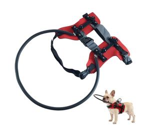 Harnais de Guidage pour Chien Aveugle,Collier de Navigation Chat Aveugle avec Bandes Réfléchissantes - Anneau Anti-Collision pour Animal | pour la Promenade, Les Voyages,