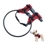 Harnais de Guidage pour Chien Aveugle Collier de Navigation pour Chien