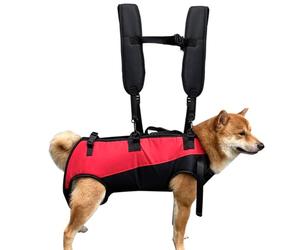 Harnais de levage pour animaux de compagnie - Boucle de mobilité pour chien robuste, réglable de 120 cm, support fiable et sécurisé, gilet de soutien en maille respirante longue durée | Antidérapant