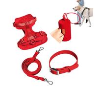 Harnais de levage pour chien - Collier réglable, harnais de sortie pour chien, collier élégant | Combinaison harnais et laisse pour chien, laisse tendance avec kit de harnais, ensemble de laisse