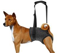 Harnais de levage pour chien, noir, avec étrier de levage, harnais de soutien réglable pour les pattes arrières, aide les personnes âgées