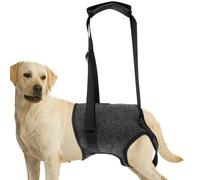 Harnais de levage pour chien, noir, avec étrier de levage, harnais de soutien réglable pour les pattes arrières, aide les personnes âgées