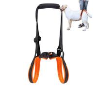 Harnais De Levage Pour Chien - Sangles Ajustables De Transport | Harnais De Soulèvement De Hanche Pour Pattes Arrière De Chien - Pour Chiens Moyens Petits Handicapés Blessés Âgés Marche Quotidienne In