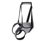 Harnais de levage pour chiens de grande taille - Harnais rembourré pour les pattes arrière - Harnais rembourré pour chiens âgés et handicapés - Aide à la récupération des blessures - Pour chiens âgés