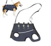 Harnais de levage réglable pour chien - 22 x 19 x 3 cm - Aide à la marche et à la récupération des pattes arrière - Pour extérieur, intérieur, blessures, malades et handicapés