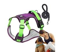 Harnais de Marche de Chien, Ensemble de Harnais de Chien | Le Harnais de Garde à l'aise la Traction Pleine et Facile à identifier. Harnais de Harnais pour Animaux de Compagnie sans Serrage