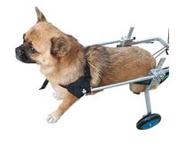 Harnais de mobilité pour chien, poussettes pour chiens, fauteuil roulant pour chien, voiture d'entraînement de réadaptation pour animaux de compagnie, chariot réglable en acier inoxydable à