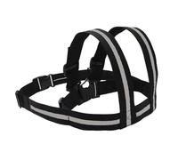 Harnais de moto pour | Ceinture de sécurité passager pour | Ceinture de sécurité pour protéger la moto lors de la conduite pour les voyages, la route, la vie quotidienne