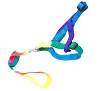 Harnais de Poitrine Coloré Réglable en Nylon avec Laisse 1, 0cm | Chien et Chat, Ajustement du Buste, Mise en Place Rapide, Promenade Quotidienne ou Fête du W nd Couleur Aléatoire