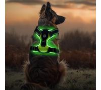 Harnais de poitrine lumineux à LED pour chien - Rechargeable par USB - Réfléchissant et respirant - Harnais lumineux pour les promenades nocturnes - Pour petits, moyens et grands chiens (noir, vert, M
