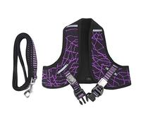Harnais de Poitrine réfléchissant Violet pour Animaux de Compagnie avec Laisse de Traction, Gilet-Harnais en Polyester pour Chiens et Chats, adapté aux Petits comme aux Grands (XS)