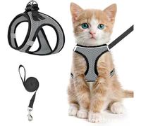 Harnais de poitrine respirant réfléchissant anti-rupture pour chat et chat