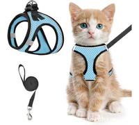 Harnais de poitrine respirant réfléchissant anti-rupture pour chat et chat