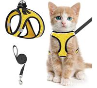 Harnais de poitrine respirant réfléchissant anti-rupture pour chat et chat