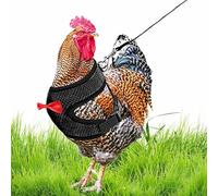 Harnais De Poulet - Maillage Respirant Confortable Poule | Bateau Réglable Réglable Réglable Polutria Avec Teash | Gilet pour Animaux De Compagnie pour Cour, Route, Coq Da Ga