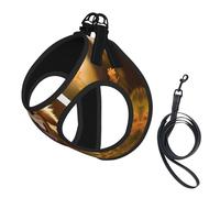 Harnais de Promenade Ajustable à Motif Chien pour Chiot, Clips pour Laisse, Harnais d'éducation pour Animaux de Compagnie, Gilet pour Animaux