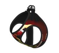 Harnais de Promenade Ajustable pour Chiot à Motif Kiwi et pastèque, avec Clips pour Laisse, Harnais d'éducation pour Animaux de Compagnie
