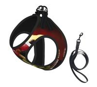 Harnais de Promenade Ajustable pour Chiot à Motif Kiwi et pastèque, avec Clips pour Laisse, Harnais d'éducation pour Animaux de Compagnie