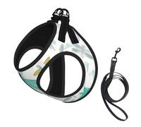 Harnais de Promenade Ajustable pour Chiot à Motif Libellule Verte, Clips pour Laisse, Harnais d'éducation pour Animaux de Compagnie