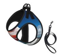 Harnais de Promenade Ajustable pour Chiot avec imprimé Drapeau de Porto Rico, Clips pour Laisse, Harnais d'éducation pour Animaux de Compagnie