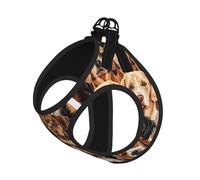 Harnais de Promenade Ajustable pour Chiots avec Motifs pour Chiens, Clips pour Laisse, Harnais d'éducation pour Animaux de Compagnie
