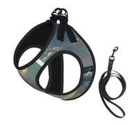 Harnais de Promenade Ajustable pour Chiots, imprimé Lune et mer, avec Clips pour Laisse, Harnais d'éducation pour Animaux de Compagnie