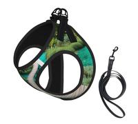 Harnais de Promenade Ajustable pour Chiots, imprimé Parc National des Lacs de Plitvice, Clips pour Laisse, Harnais d'entraînement pour Animaux de Compagnie