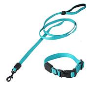 Harnais de Promenade réglable en Nylon pour Chien avec Clip de Laisse sur Le poitrail et Le Dos, Sangle de Conduite à poignée en Mousse Souple pour Chiens de Petite, Moyenne et (S)