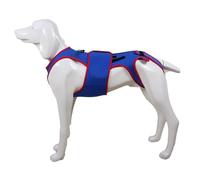 Harnais de réadaptation pour Animaux de Compagnie Douce avec Aide à la Hanche et aux Jambes, Small Dog Back Brace Support vertébral - réglable Confortable avec Sangles réfléchissantes | Aide