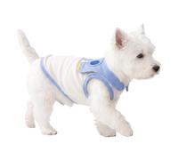 Harnais De Refroidissement pour Chiens - Gilet De Refroidissement avec Lais