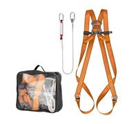Harnais de sécurité NEOTOOLS 97-101 - absorbeur de choc + ligne de vie 2m + sac de transport