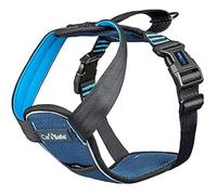 Harnais de sécurité pour Chien - COMPANY OF ANIMALS - Testé jusqu'à 32 kg - LÉGER - REMBOURRÉ - Confortable